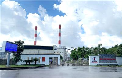 Công ty Nhiệt điện Mông Dương giữ vững chất lượng môi trường sản xuất điện